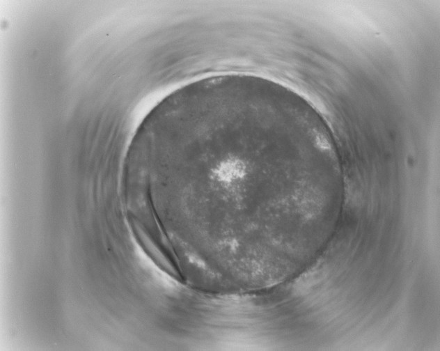 X0000088881527200706221802