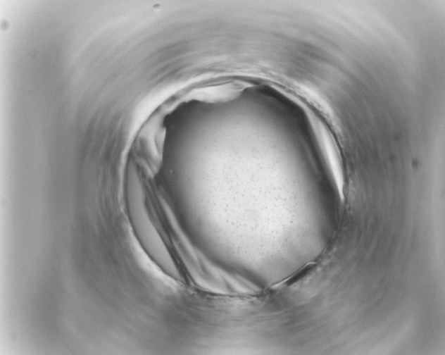 X0000088881528200706221802