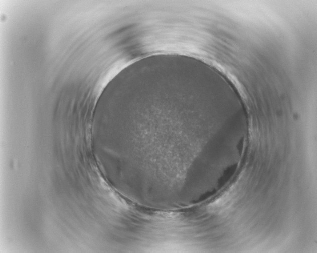 X0000088881529200706221802