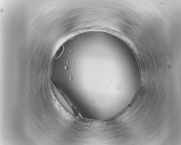 X0000088881530200706221802