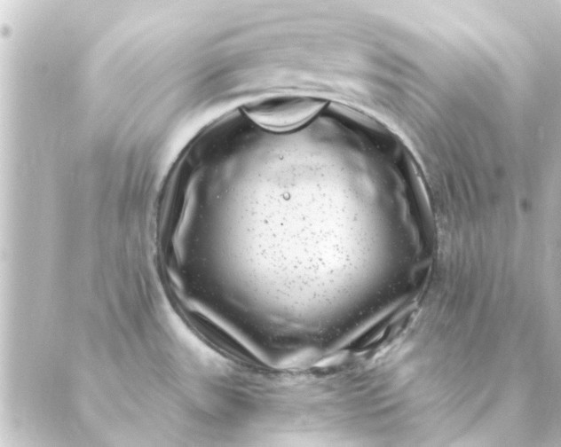 X0000088881531200706221802