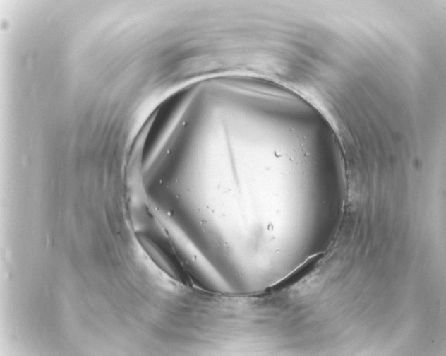 X0000088881532200706221802