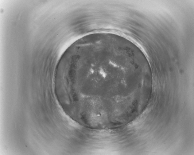 X0000088881533200706221802