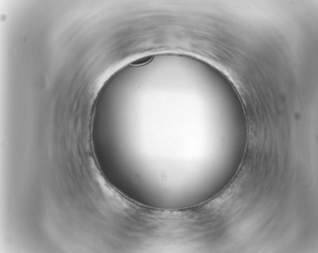 X0000088881534200706221802