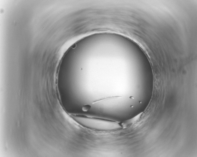 X0000088881535200706221802