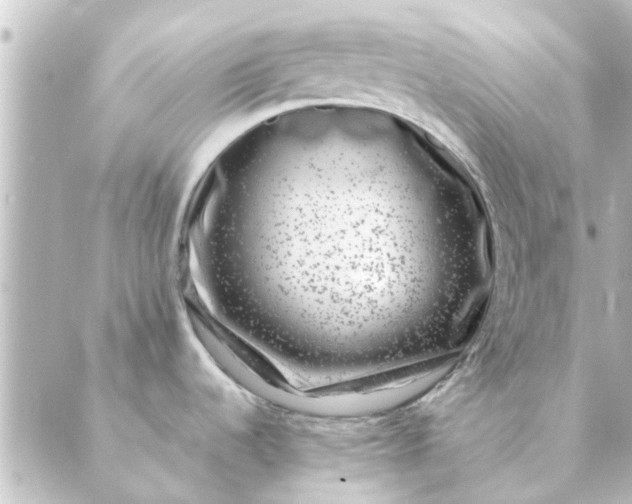 X0000088881536200706221802