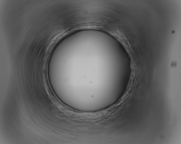 X0000088880001200706291614