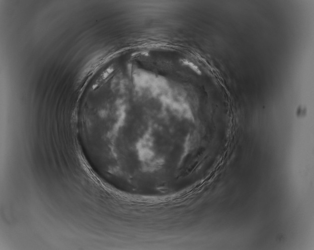 X0000088880002200706291614