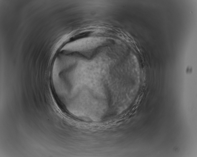 X0000088880003200706291614