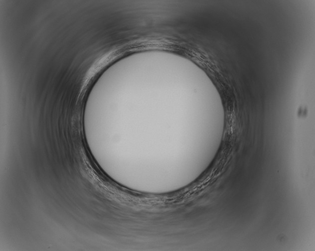 X0000088880004200706291614