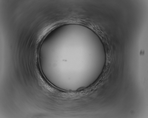 X0000088880005200706291614