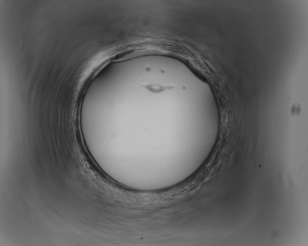 X0000088880006200706291614