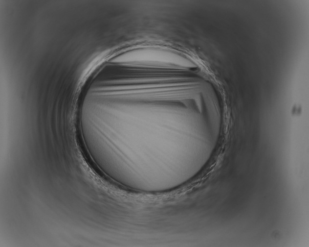 X0000088880007200706291614