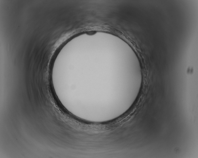 X0000088880008200706291614
