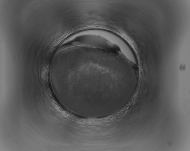 X0000088880009200706291614