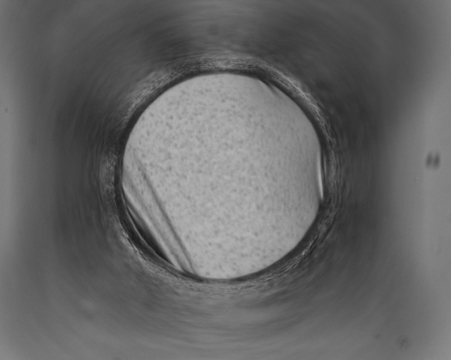 X0000088880010200706291614