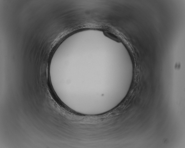 X0000088880011200706291614