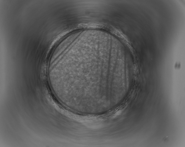 X0000088880012200706291614