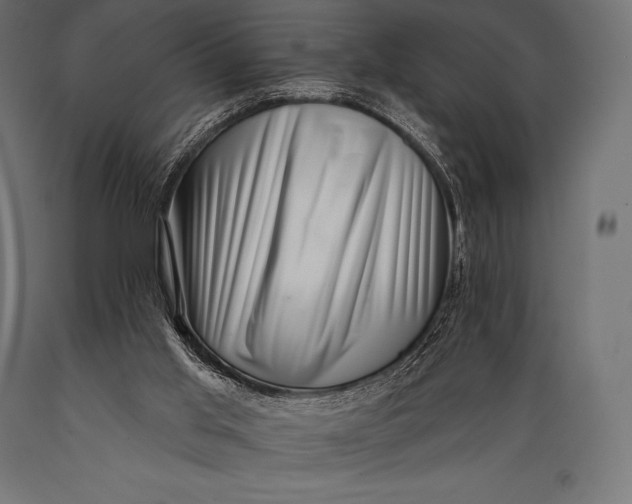 X0000088880013200706291614