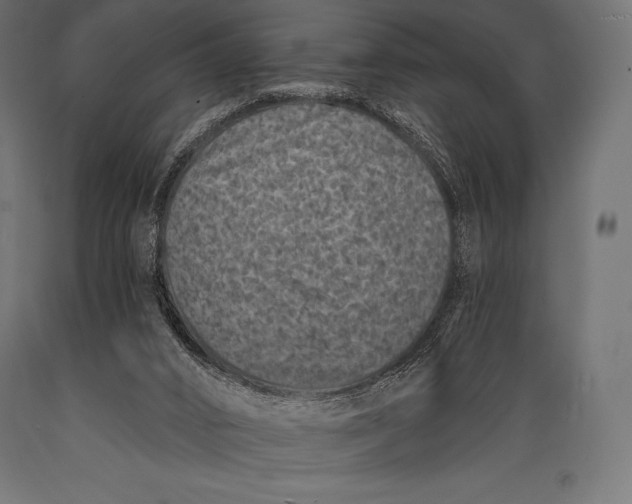 X0000088880016200706291614