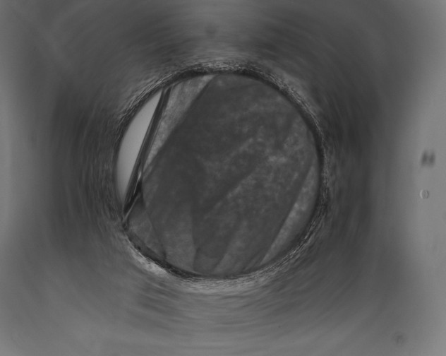 X0000088880017200706291614
