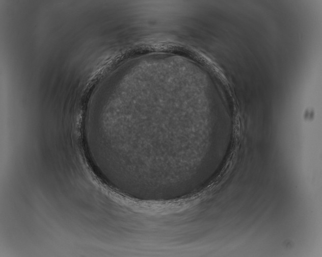 X0000088880018200706291614