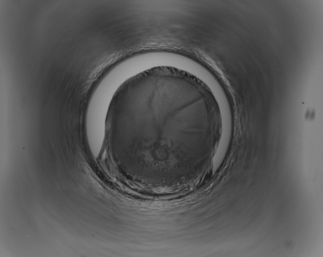 X0000088880019200706291614