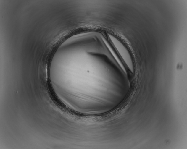 X0000088880020200706291614