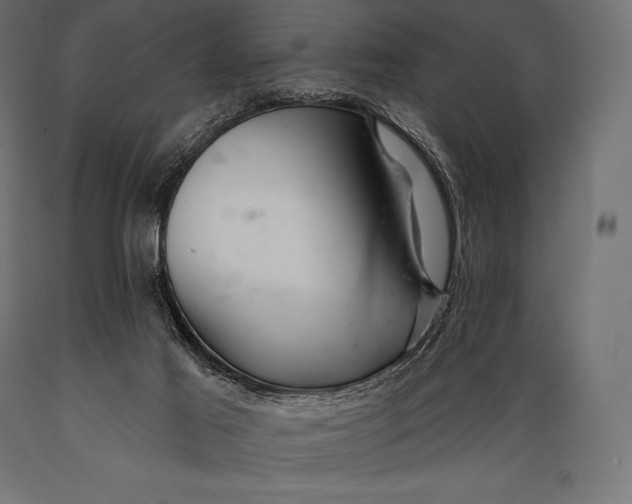 X0000088880021200706291614