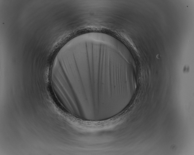 X0000088880023200706291614
