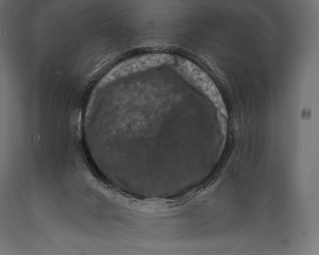 X0000088880024200706291614