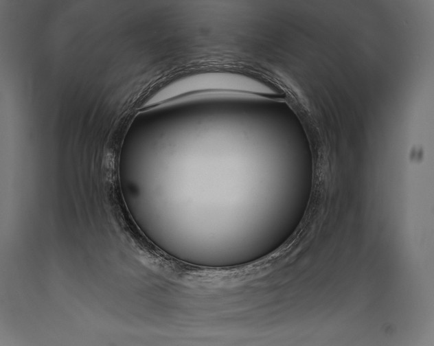 X0000088880025200706291614