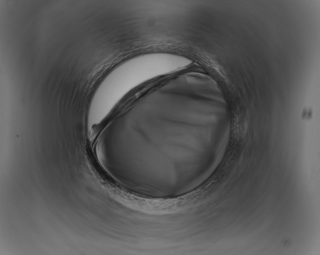 X0000088880027200706291614