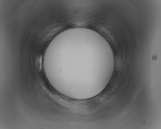 X0000088880028200706291614