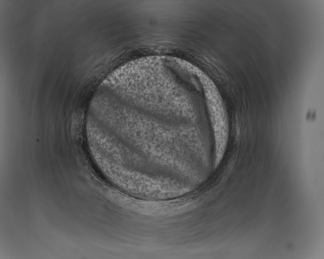 X0000088880030200706291614