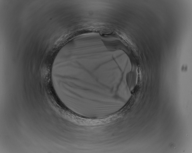 X0000088880031200706291613
