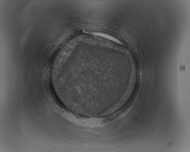X0000088880032200706291613