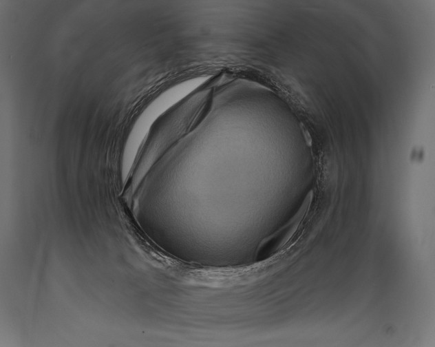 X0000088880033200706291613