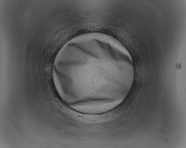 X0000088880034200706291613