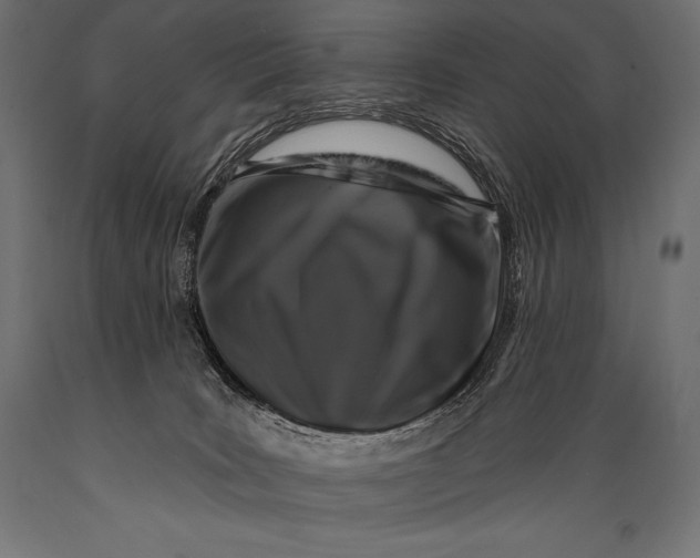 X0000088880035200706291613
