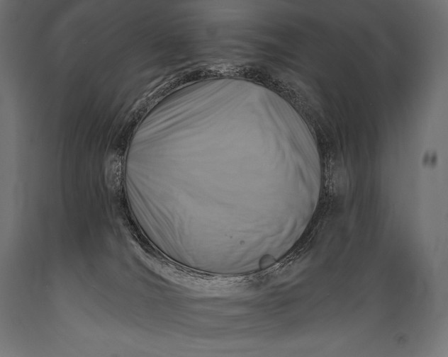 X0000088880036200706291613