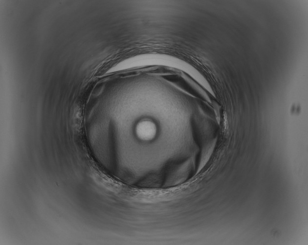 X0000088880037200706291613