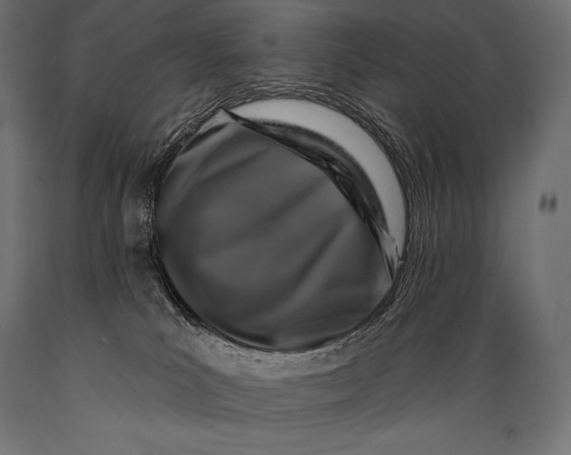 X0000088880039200706291613