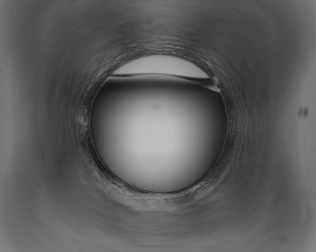 X0000088880040200706291613