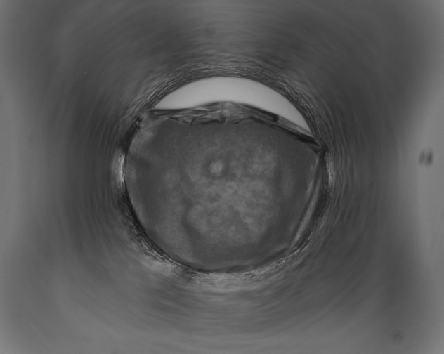 X0000088880041200706291613