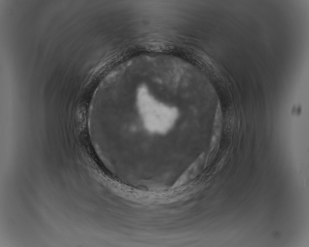 X0000088880043200706291613