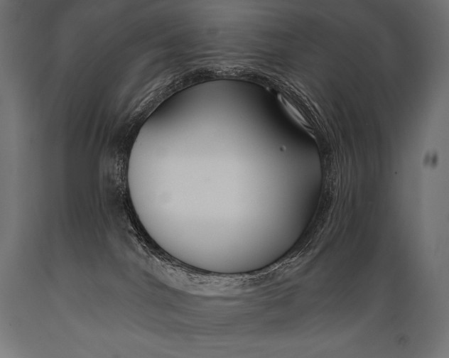 X0000088880044200706291613