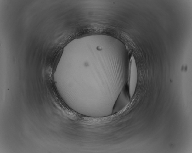 X0000088880045200706291613