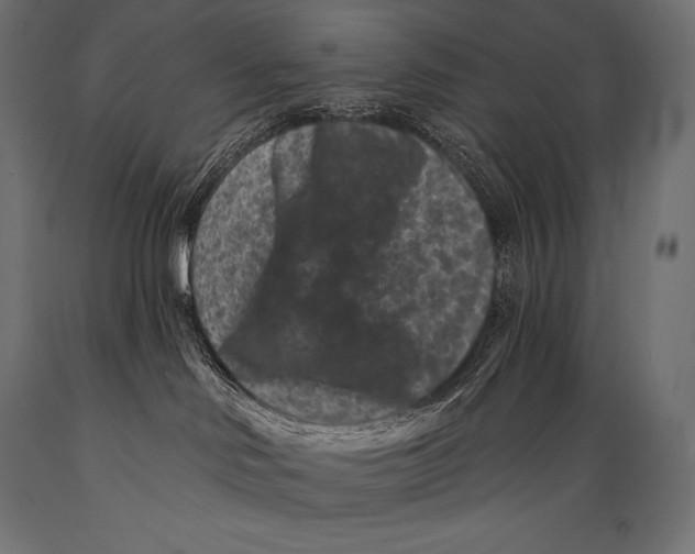 X0000088880046200706291613