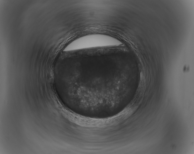 X0000088880048200706291613